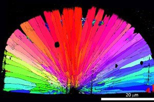 Register for the "Current Issues with Data Presentation and Publication" webinar