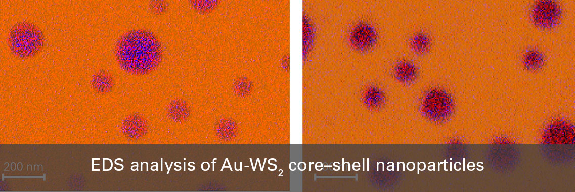 EDS analysis of Au-WS2 core–shell nanoparticles