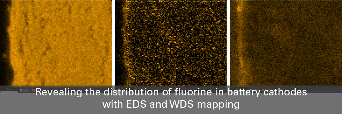 Revealing the distribution of fluorine in battery cathodes with EDS and WDS mapping