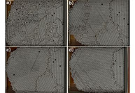 DIY grain growth modeling