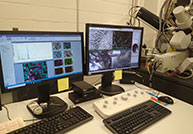 Sometimes, you don’t know what you’ve been missing until you find it