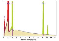 Effect of the Silicon Drift Detector on EDAX Standardless Quant Methods