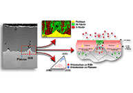 Orientation Dependent Interface Morphology and Oxide Stability in a Commercial Niobium Alloy: Explaining Experimental Results with Density Functional Theory