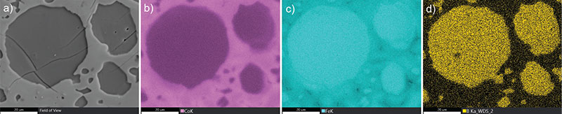 a) An SEM image of a steel sample. The b) cobalt and c) iron elemental maps using EDS analysis. d) The boron elemental map using WDS analysis.