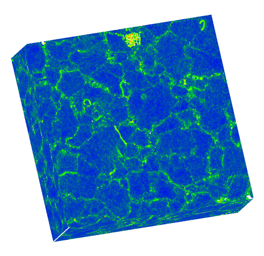 A KAM map in 3D revealing higher local misorientation near grain boundaries and within a precipitate in the microstructure.