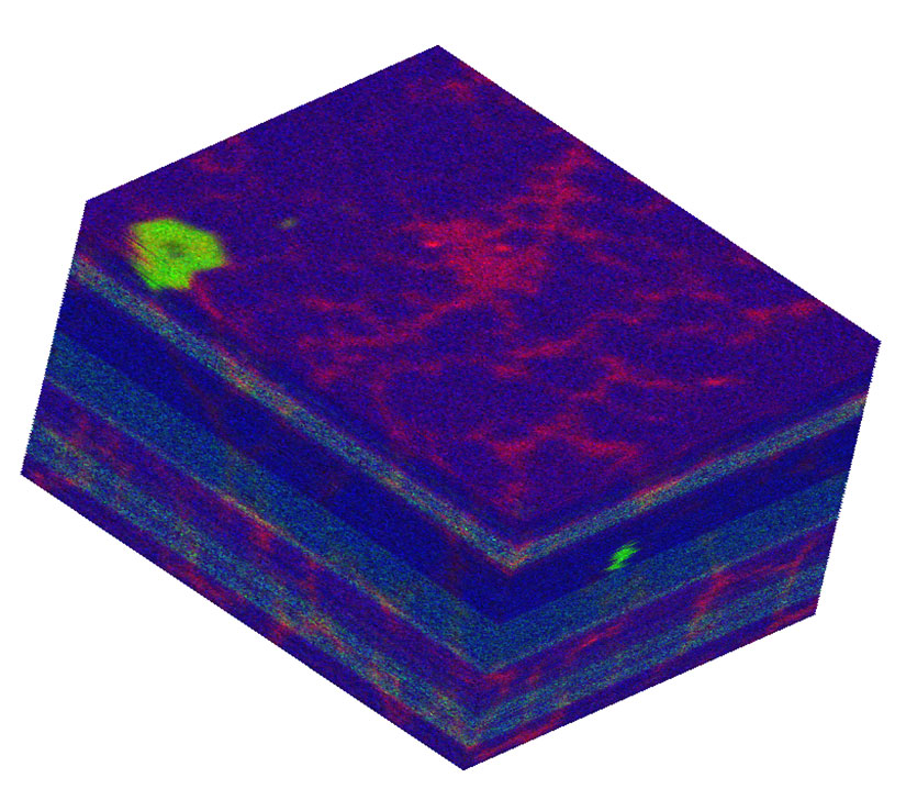 RGB map with niobium count intensity (red), titanium EDS count intensity (green), and nickel EDS count intensity (blue).