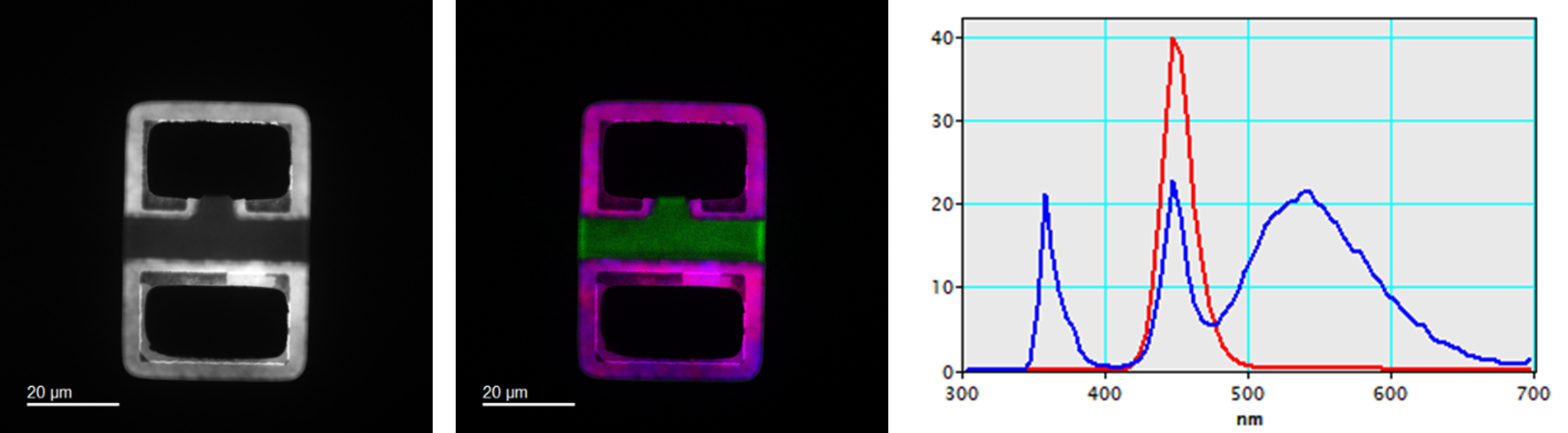 (left) CL spectrum image displaying wavelengths from 300 to 700 nm, (center) colorized spectrum image highlighting emission from GaN (360 nm, green colorization), and InxGa1-xN (430 nm, blue colorization; and 460 nm, red colorization) with 20 nm bandwidth. Each color band is normalized by intensity. (right) LED CL spectra from (red) MQW region and (blue) central GaN region (increased by a factor of 10 for clarity).