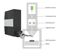 The Monarc CL detector is attached to a scanning electron microscope.