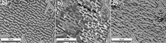 a) PRIAS top ROI image showing atomic number contrast, b) PRIAS middle ROI image showing orientation contrast, and c) PRIAS bottom ROI image showing topographic contrast for the directionally solidified Al-Cu-Mg alloy.