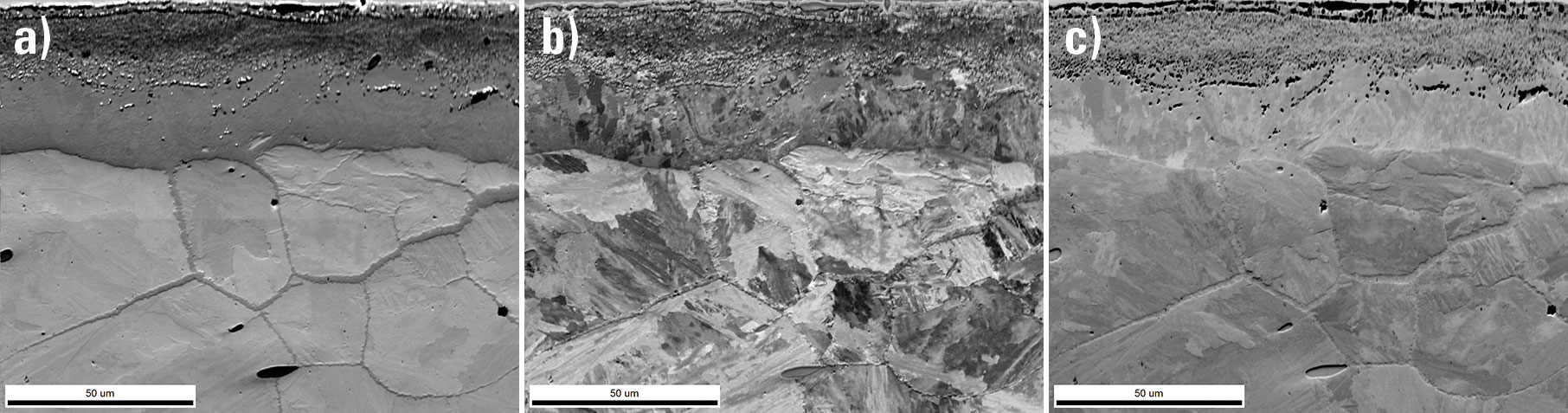 PRIAS images from the a) top, b) middle, and c) bottom ROIs showing different microstructural contrasts within the analysis region.