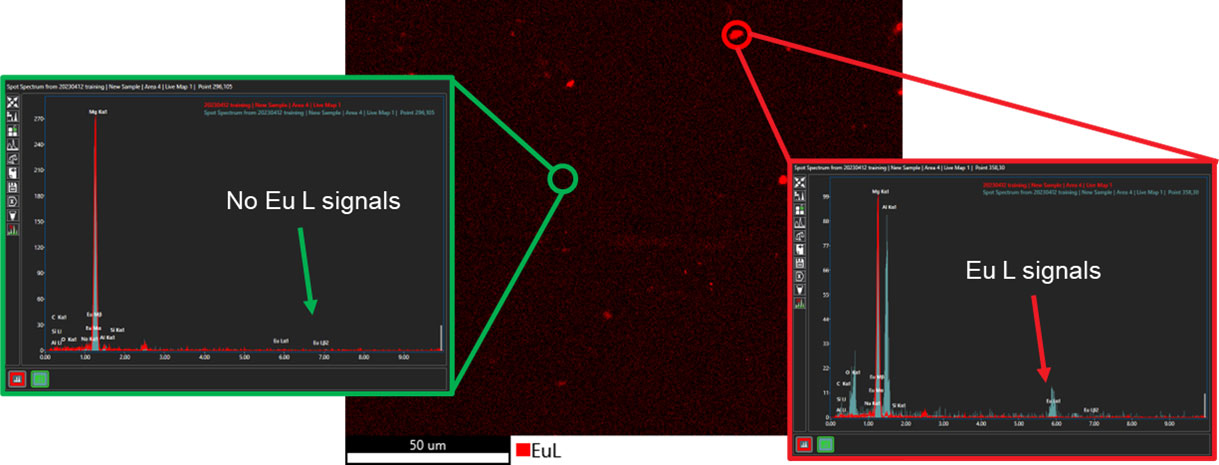 Cumulative spectrum (red spectrum) vs. Maximum Pixel spectrum (cyan spectrum) to show the difference between the Eu region (red circle) and non-Eu region (green circle). 