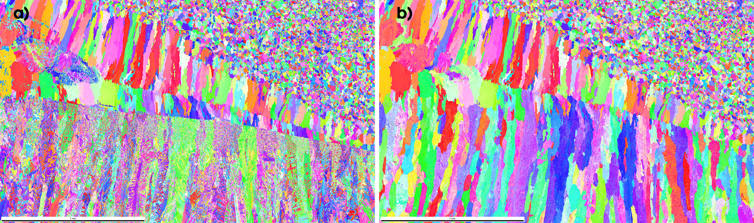 An IPF map of the ferrite-melt contact zone. a) The microstructure as measured and b) the microstructure after reconstruction of the high-temperature austenitic microstructure. The scalebar is 1 mm.