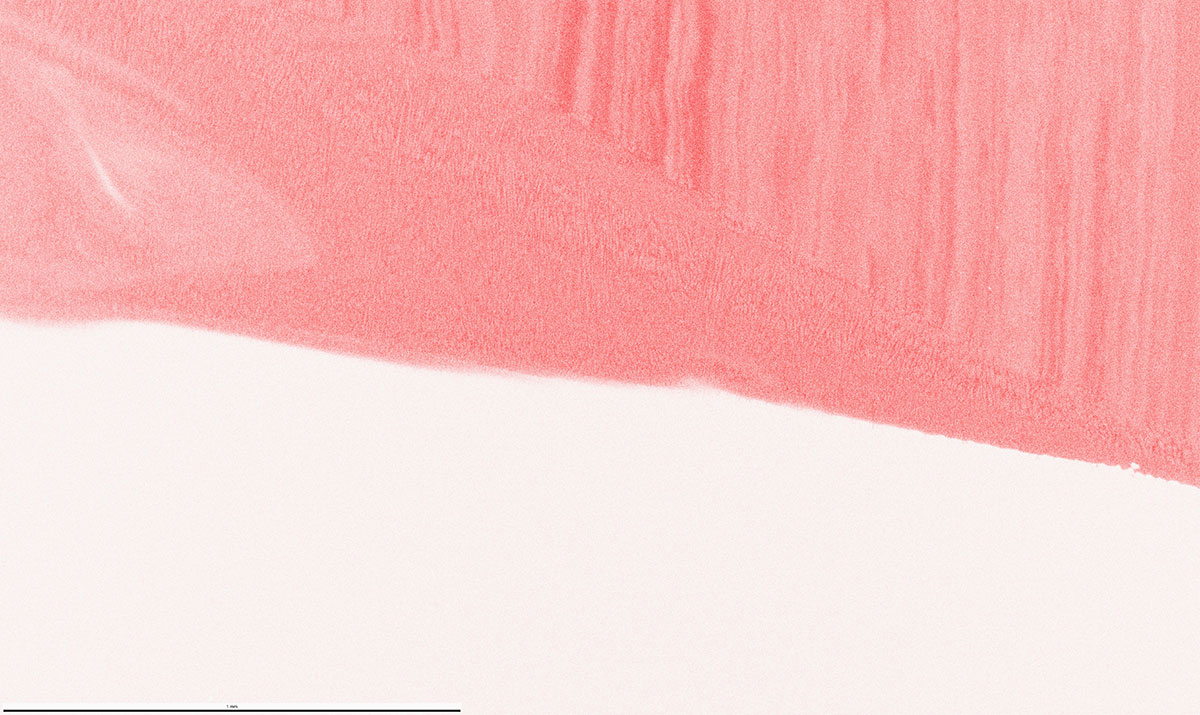 A simultaneously collected EDS map for Ni. The scalebar is 1 mm.