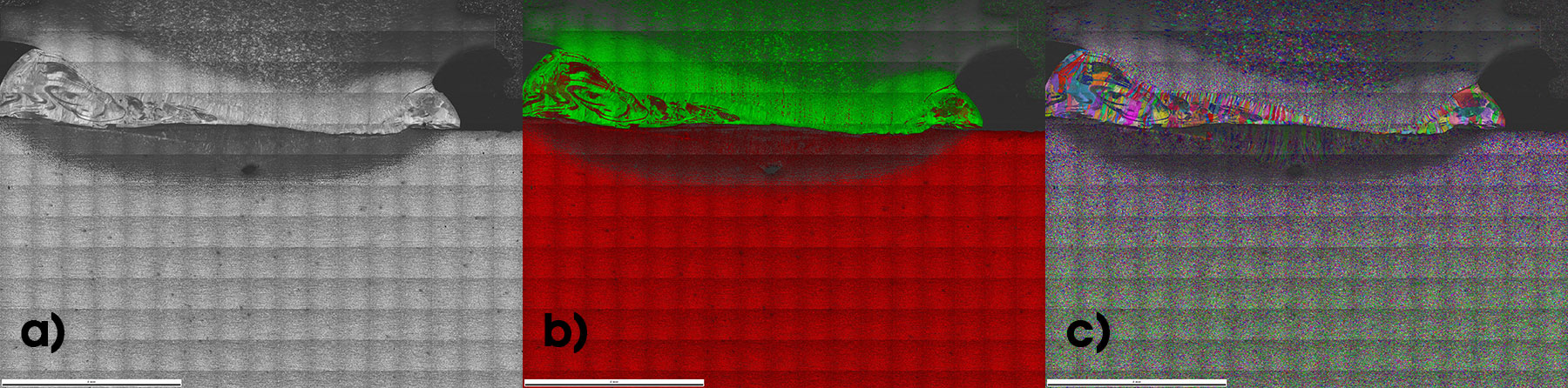 a) An IQ map and b) a phase map of a montage EBSD scan with 221 fields, 45 million points @ 1.5 µm steps. Red is ferrite and green is austenite. c) An IPF map on IQ showing the crystal directions parallel to the sample normal direction. The scalebar is 4 mm.