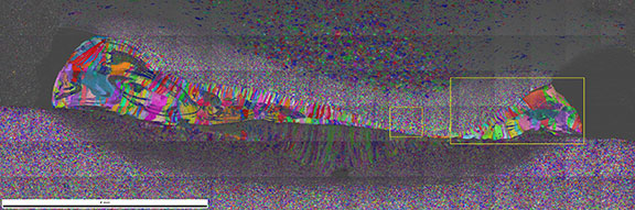 An EBSD montage map of the entire weld zone, IPF on IQ map, 133 fields and 91M points @ 750 nm steps. The scalebar is 4 mm.