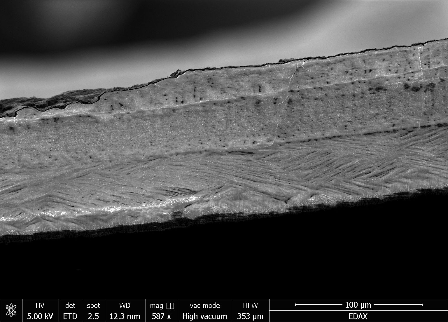 A PECS II milled cross-section view of the shell with different layers. The dark skin on the top is the colored outer layer.