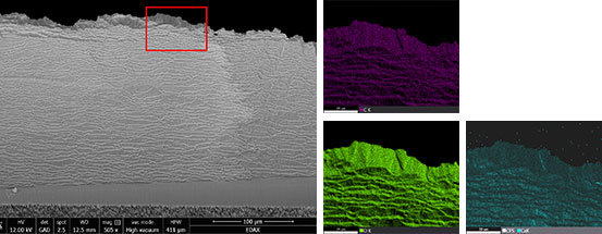A plan view SEM image of the structure directly below the colored surface together with EDS maps showing the C (purple), O (green), and Ca (blue) distribution.