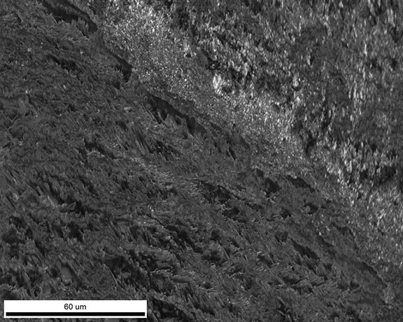 An IQ map of the fracture surface. The lower left area shows the crossbar structure, then a thin strip with the fine-grained structure, and at the top right some organic material remains.