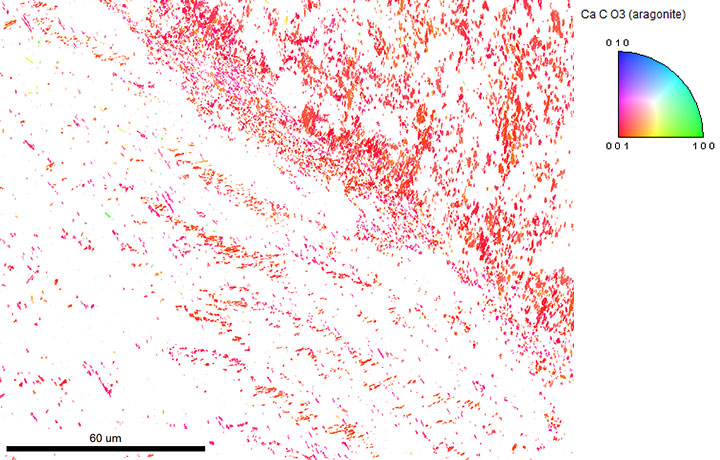 An IPF map showing the crystal direction perpendicular to the shell surface. All grains share the same color indicating that the [001] axes are aligned.