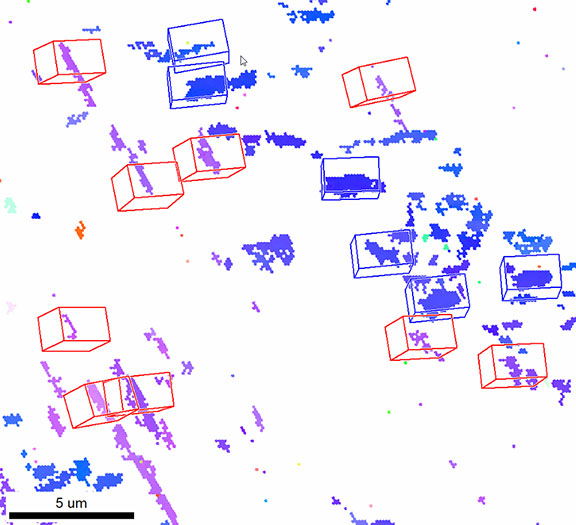 Detail of the IPF map of the crossbar area with superimposed crystal orientations.