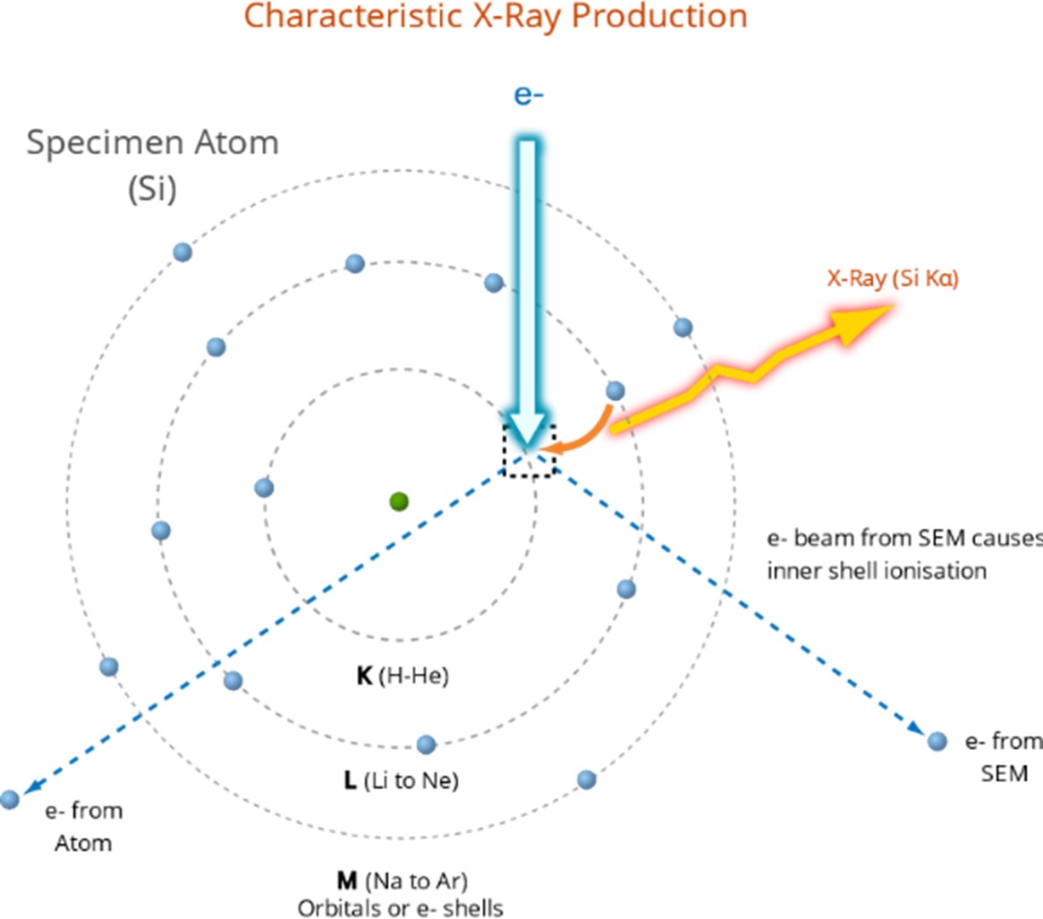 Characteristic X-ray production using Si K_α as an example. Adapted from myscope.training.