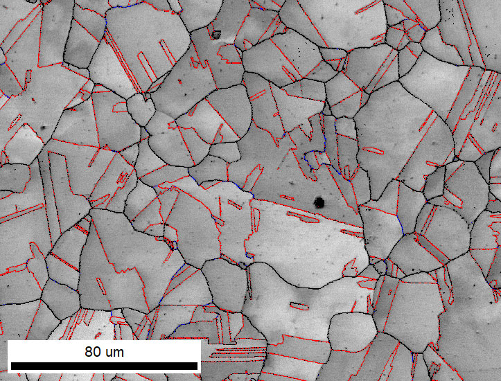 An EBSD IQ map with random grain boundaries drawn as black lines, primary twins drawn as red lines, and secondary twins drawn as blue lines.