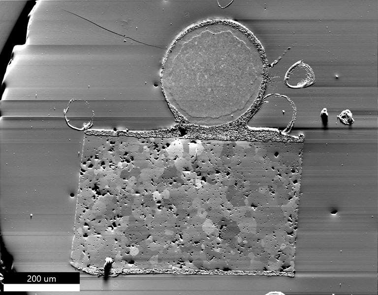 A forward scatter SEM image of the polished cross-section showing the central MnCoFe-oxide material and one of the connecting wires.