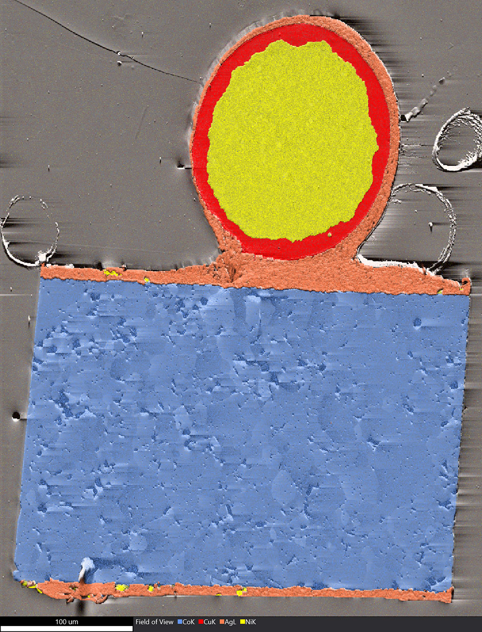 The element distribution in the sensor.