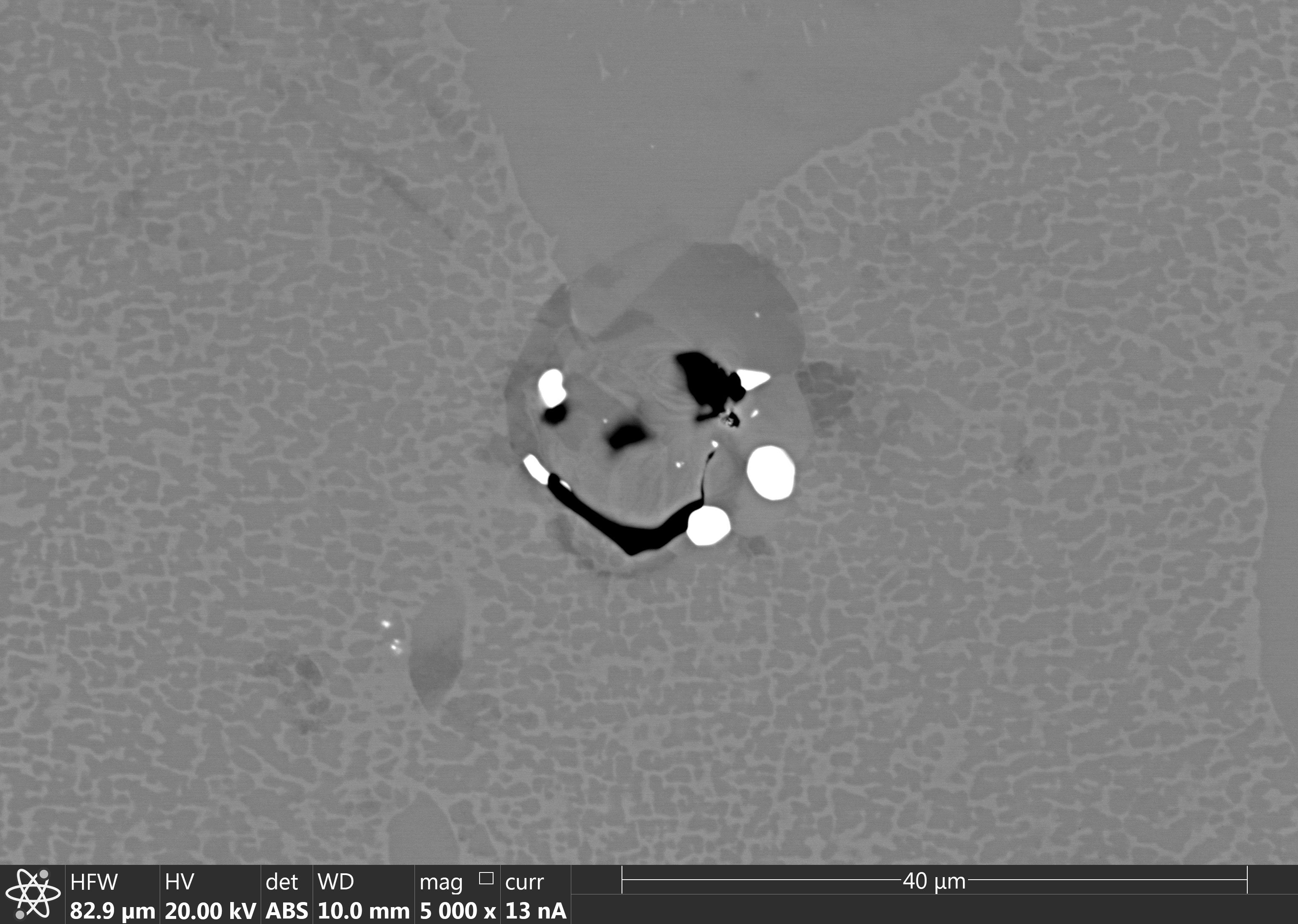 SEM image of the Happy Pirate grain using the ABS detector.