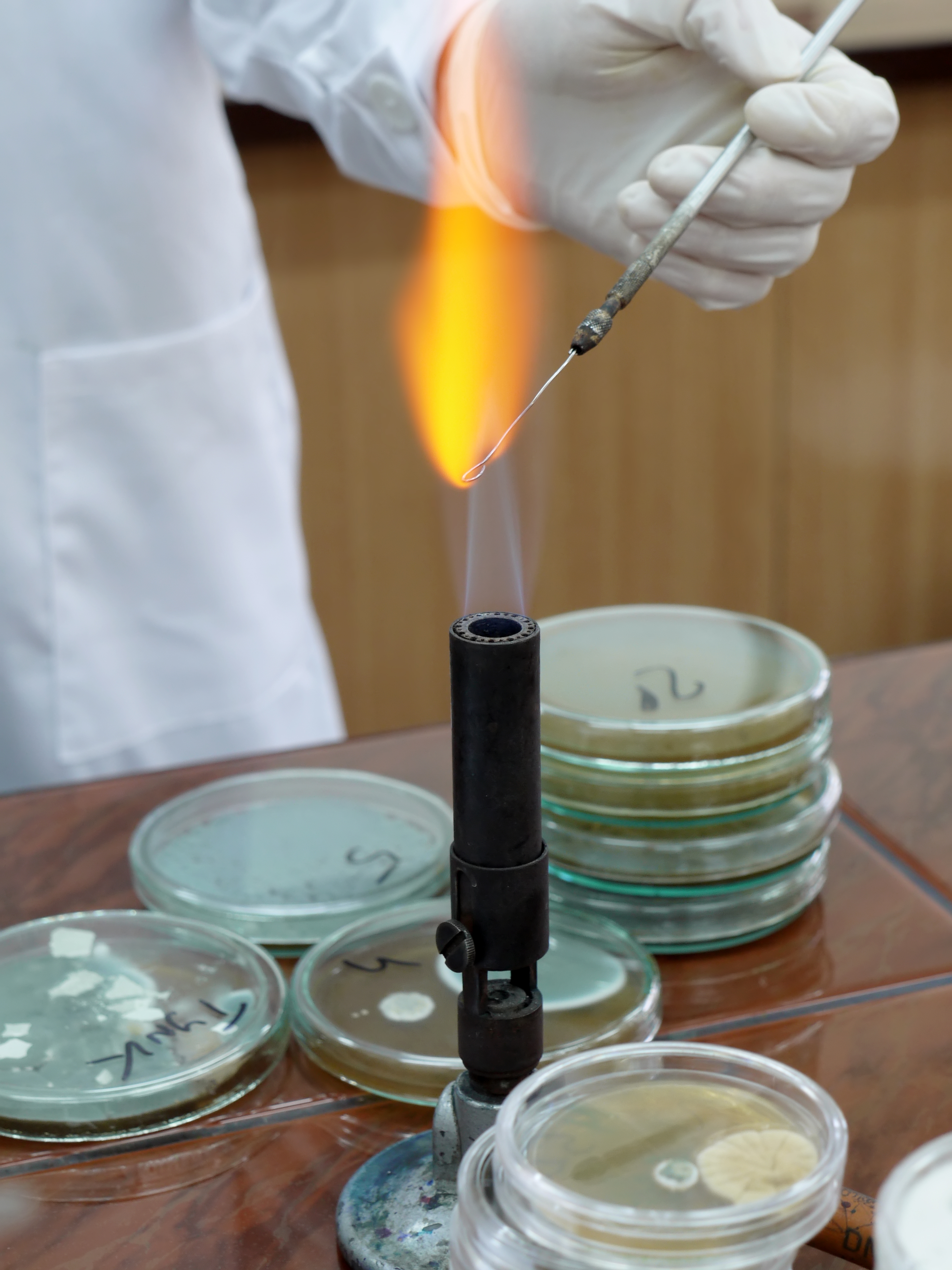 Example of a chemistry class flame test.
