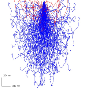 Monte Carlo Simulation of the interaction volume of a 15 kV beam on a pure Aluminum sample