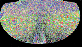Orientation map of a forged Aluminum cross-section