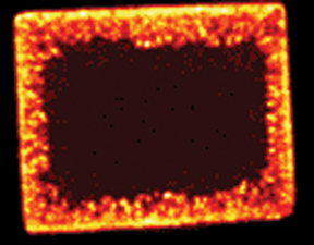 EDAX Periodic Table of Elements - Palladium